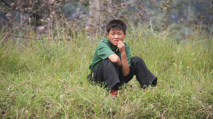 Boy sitting in a field