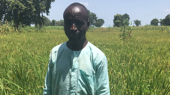 Yakubu Bala and his rice crop