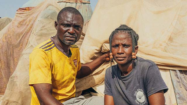 Send WWL report to your MP