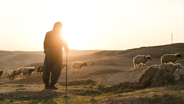 Yasin’s undercover faith 