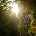 A family walks through a sun-lit forest in Laos.