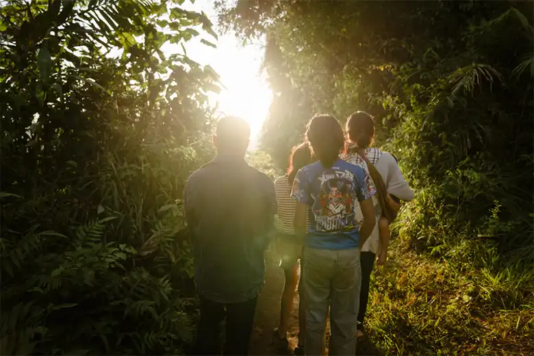 A family walks through a sun-lit forest in Laos.